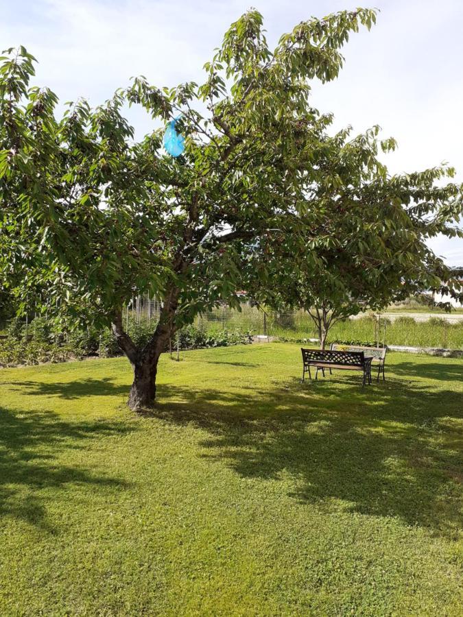 Chrysafis Apartments Vrasná Dış mekan fotoğraf